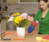 domestic_cleaning2